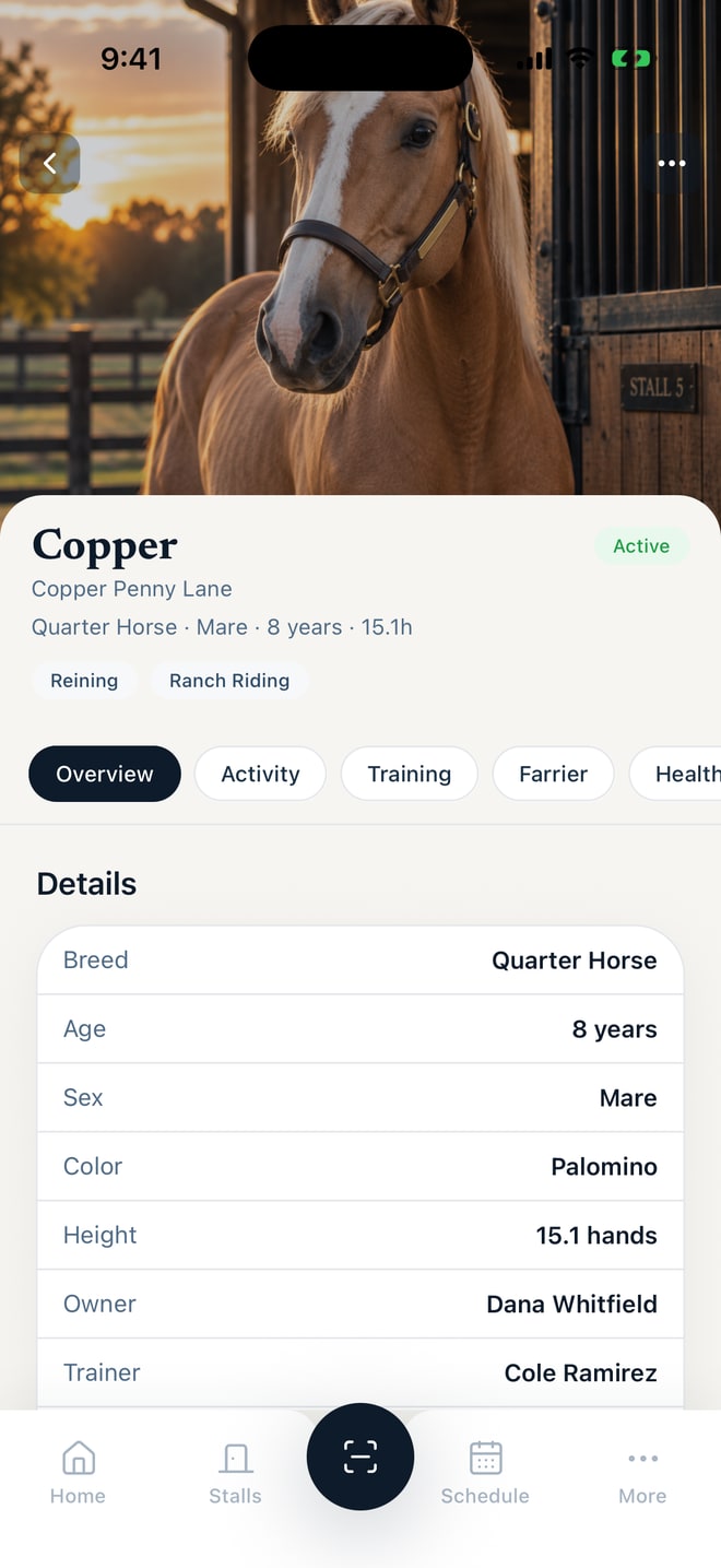 Stryda horse profile