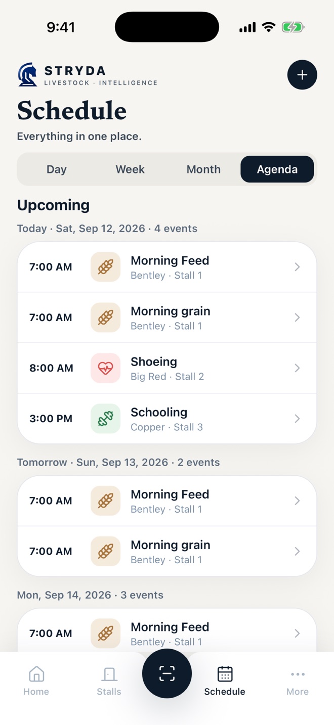 Agenda view