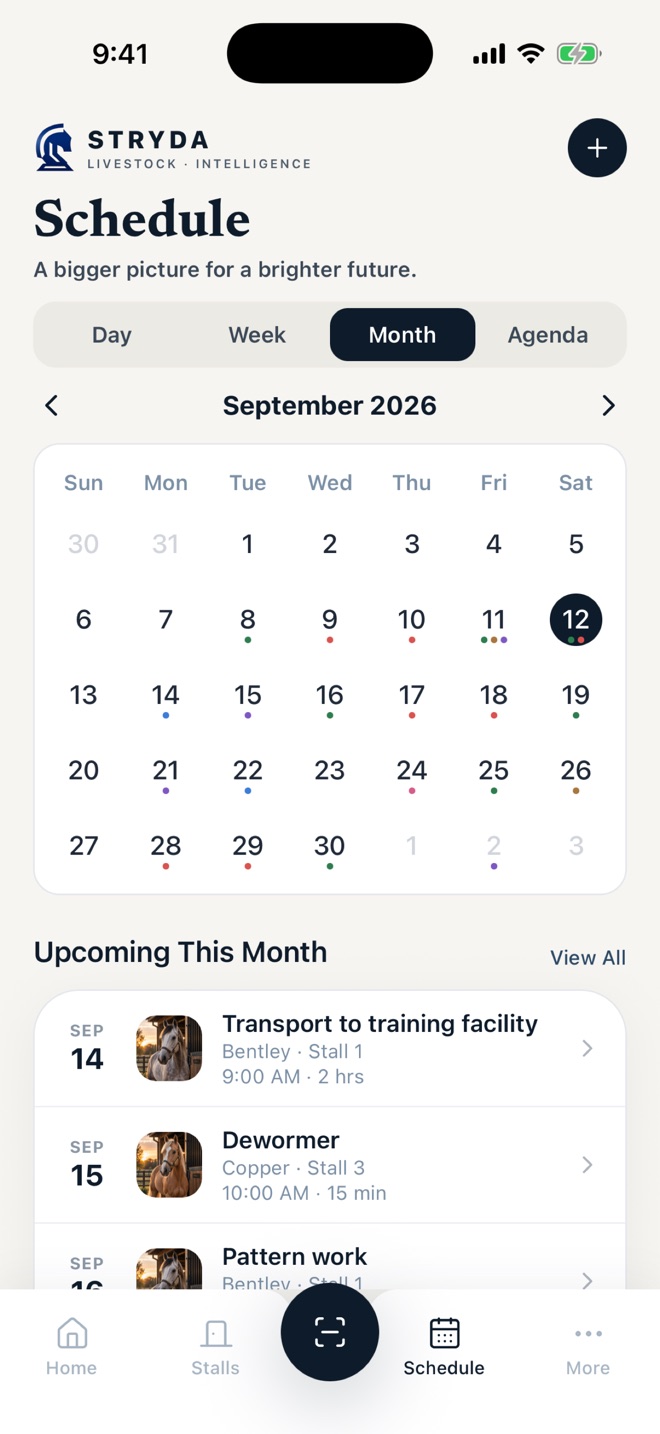 Month view